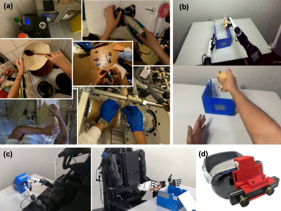 Humanoid Bimanual Dexterous Manipulation Driven by Egocentric Video